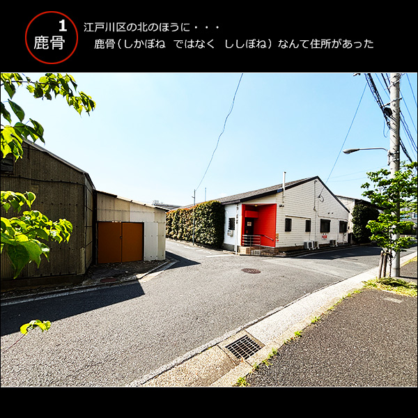江戸川区の北のほうに、鹿骨（しかぼね  ではなく  ししぼね）なんて住所があった 1