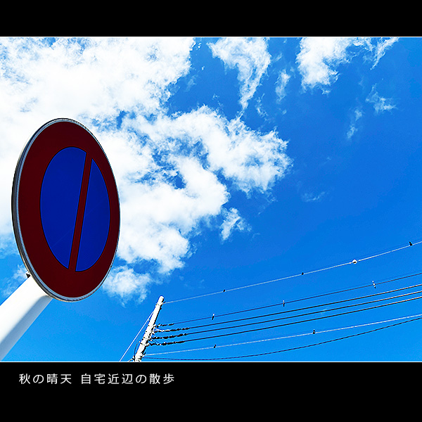 秋の晴天 自宅近辺の散歩