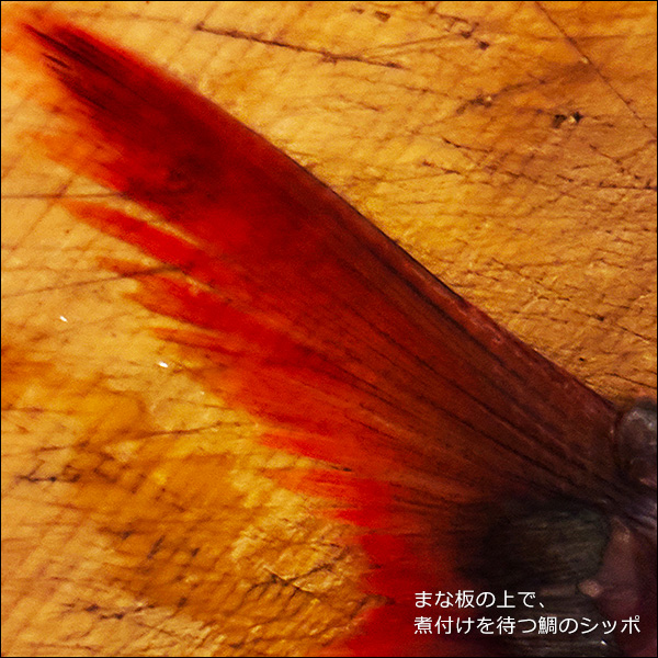 まな板の上で、煮付けを待つ鯛のシッポ