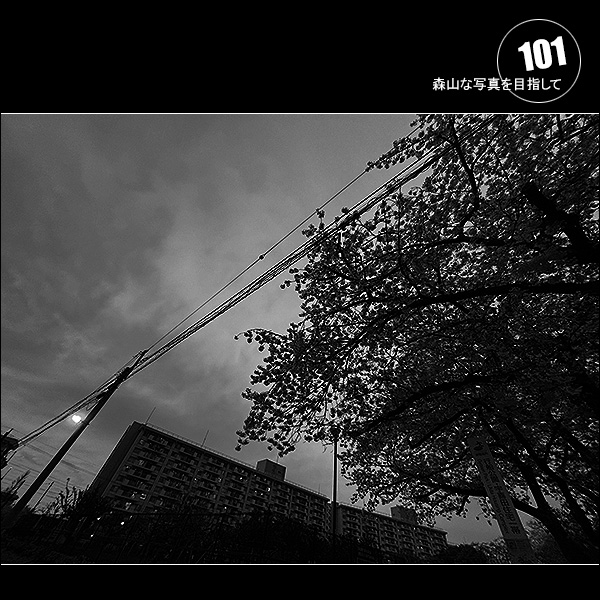 森山な写真を目指して Vol.101